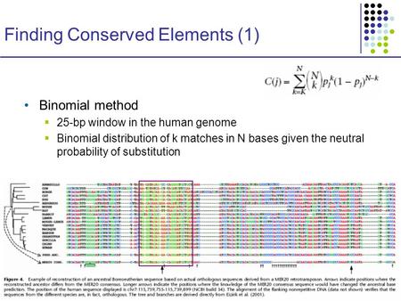 CS273a Lecture 14, Fall 08, Batzoglou CS273a Lecture 14, Fall 2008 Finding Conserved Elements (1) Binomial method  25-bp window in the human genome 