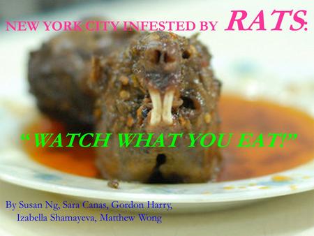 NEW YORK CITY INFESTED BY RATS : “WATCH WHAT YOU EAT!” By Susan Ng, Sara Canas, Gordon Harry, Izabella Shamayeva, Matthew Wong.