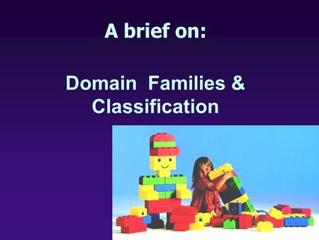 A brief on: Domain Families & Classification. The discovery of domains in protein structures Domains at the sequence level Examples of “Domain Resources”