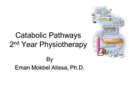 Catabolic Pathways 2 nd Year Physiotherapy By Eman Mokbel Alissa, Ph.D.