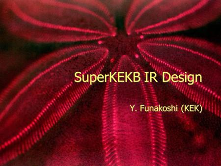 SuperKEKB IR Design Y. Funakoshi (KEK).