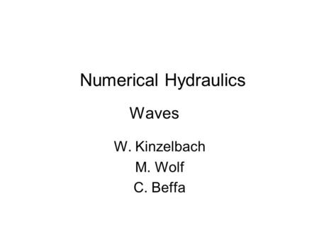 Waves W. Kinzelbach M. Wolf C. Beffa Numerical Hydraulics.