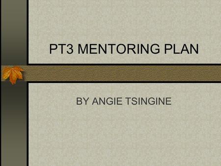 PT3 MENTORING PLAN BY ANGIE TSINGINE PEOPLE Who will I be mentoring? Student teachers and continuing new teachers.