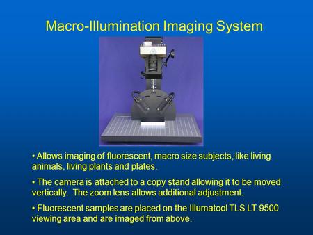 Macro-Illumination Imaging System