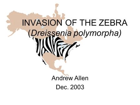 INVASION OF THE ZEBRA (Dreissenia polymorpha) Andrew Allen Dec. 2003.