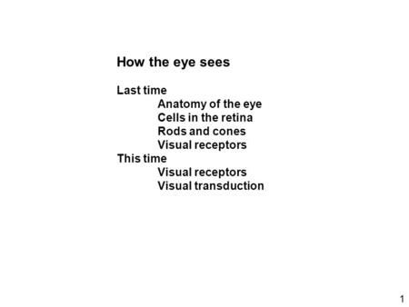 How the eye sees Last time Anatomy of the eye Cells in the retina Rods and cones Visual receptors This time Visual receptors Visual transduction 1.
