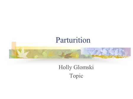 Parturition Holly Glomski Topic. Objective Identify the phases of parturition in sheep Signs of the phases.