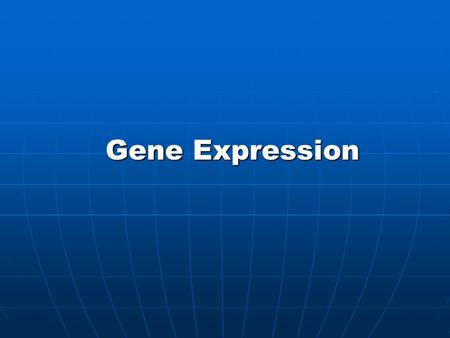 Gene Expression. 2 Gene expression? Gene expression?  Biological processes, such as transcription, and in case of proteins, also translation, that yield.