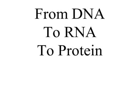 From DNA To RNA To Protein. OH O CH 2 Sugar H OH A Nucleotide NH 2 N N N N Base P O OH HO O Phosphate.