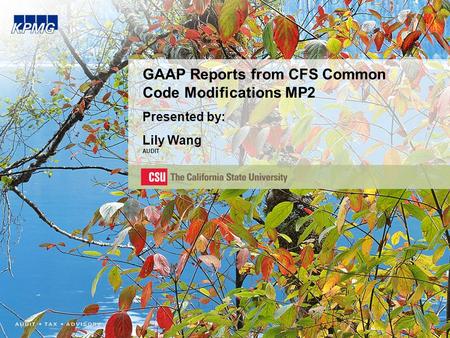 GAAP Reports from CFS Common Code Modifications MP2 Presented by: Lily Wang AUDIT.