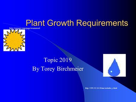 Plant Growth Requirements Topic 2019 By Torey Birchmeier