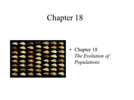 Chapter 18 Chapter 18 The Evolution of Populations.