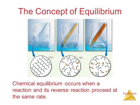 Equilibrium The Concept of Equilibrium Chemical equilibrium occurs when a reaction and its reverse reaction proceed at the same rate.