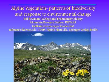 Alpine Vegetation- patterns of biodiversity and response to environmental change Bill Bowman- Ecology and Evolutionary Biology Mountain Research Station,