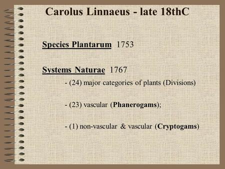 Carolus Linnaeus - late 18thC Species Plantarum 1753 Systems Naturae 1767 - (24) major categories of plants (Divisions) - (23) vascular (Phanerogams);