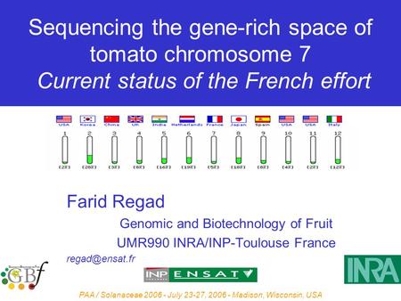 PAA / Solanaceae 2006 - July 23-27, 2006 - Madison, Wisconsin, USA Sequencing the gene-rich space of tomato chromosome 7 Current status of the French effort.