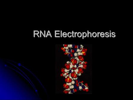 RNA Electrophoresis. Broad and Long Term Objective To characterize the expression of ribulose 1-5 bisphosphate carboxylase oxygenase and chlorophyll AB.