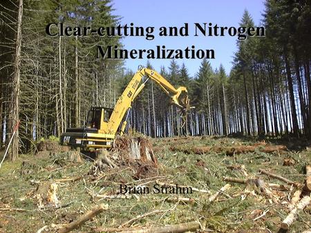 Clear-cutting and Nitrogen Mineralization Brian Strahm.