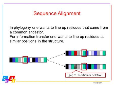 ©CMBI 2005 Sequence Alignment In phylogeny one wants to line up residues that came from a common ancestor. For information transfer one wants to line up.