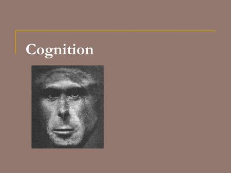 Cognition. Social Learning Mechanisms  Mechanisms  Stimulus or Social Enhancement (instrumental)  Drawn to object by conspecific  could learn via.