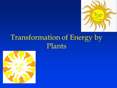 Transformation of Energy by Plants. Efficiency - How well do plants utilize the solar input? Ecological (or Lindeman) efficiency –(GPP/solar radiation)
