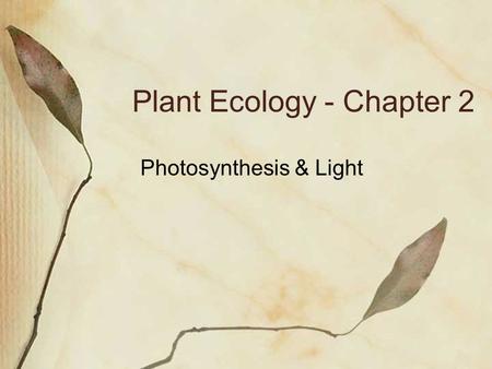 Plant Ecology - Chapter 2 Photosynthesis & Light.