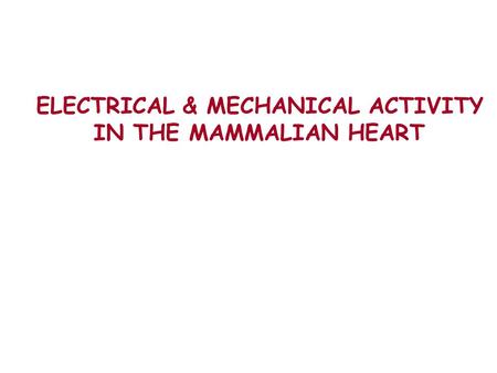 ELECTRICAL & MECHANICAL ACTIVITY IN THE MAMMALIAN HEART.
