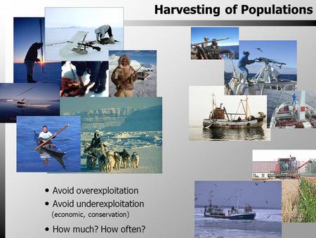Harvesting of Populations Avoid overexploitation Avoid underexploitation (economic, conservation) How much? How often?
