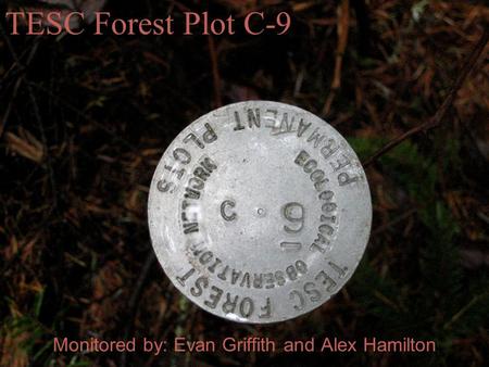 Monitored by: Evan Griffith and Alex Hamilton TESC Forest Plot C-9.