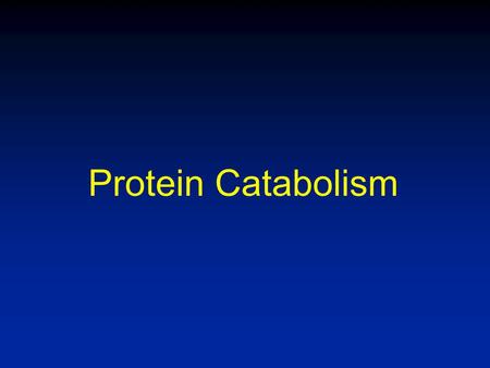 Protein Catabolism ?Can you give me some examples of what chemicals you think youve used, or how you think chemistry may have impacted your life?