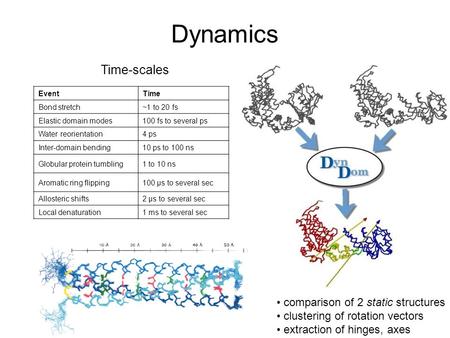 Dynamics EventTime Bond stretch ~1 to 20 fs Elastic domain modes 100 fs to several ps Water reorientation 4 ps Inter-domain bending 10 ps to 100 ns Globular.