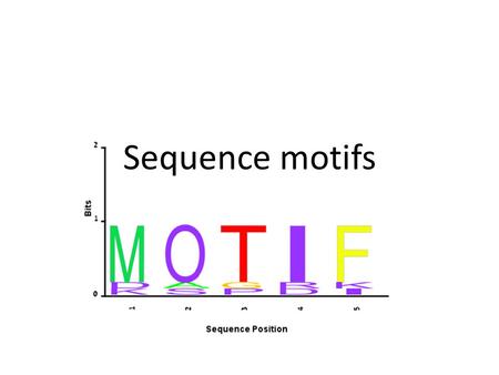 Sequence motifs. What are sequence motifs? Sequences are translated into electron densities with different affinities of interacting with other molecules.