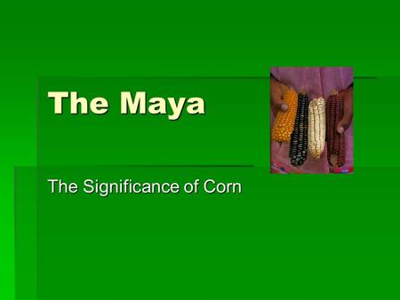 The Maya The Significance of Corn. Mayan Cosmology  Earth and Water important elements because they are the origins of life.  Tlaloc is the guardian.