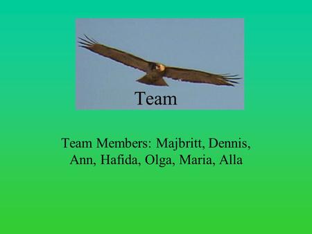 Team Team Members: Majbritt, Dennis, Ann, Hafida, Olga, Maria, Alla.