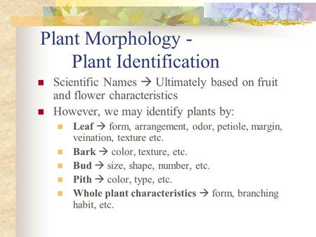Plant Morphology - Plant Identification