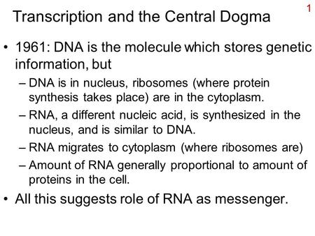 1 Transcription and the Central Dogma 1961: DNA is the molecule which stores genetic information, but –DNA is in nucleus, ribosomes (where protein synthesis.