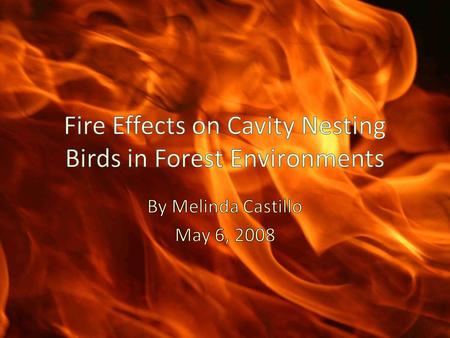 How are cavity-nesting bird (CNB) populations impacted by fire and the Healthy Forest Restoration Act of 2003? Which is more beneficial?