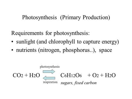 Photosynthesis (Primary Production) Requirements for photosynthesis: sunlight (and chlorophyll to capture energy) nutrients (nitrogen, phosphorus..), space.