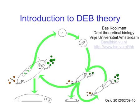 Introduction to DEB theory Bas Kooijman Dept theoretical biology Vrije Universiteit Amsterdam  Oslo 2012/02/09-10.