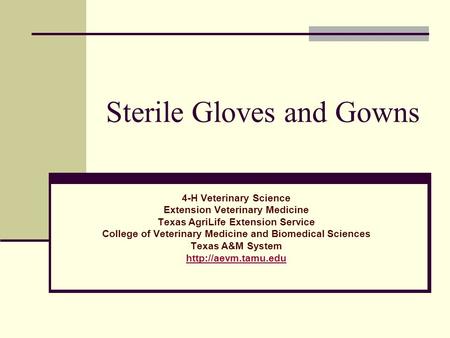 Sterile Gloves and Gowns 4-H Veterinary Science Extension Veterinary Medicine Texas AgriLife Extension Service College of Veterinary Medicine and Biomedical.