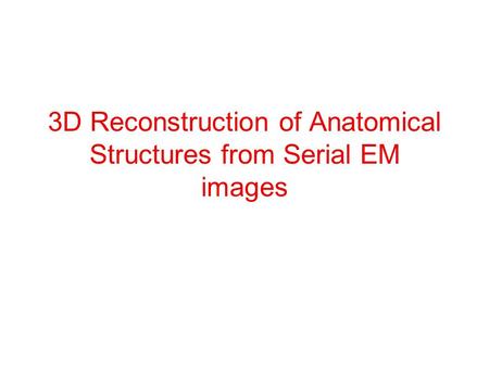 3D Reconstruction of Anatomical Structures from Serial EM images.