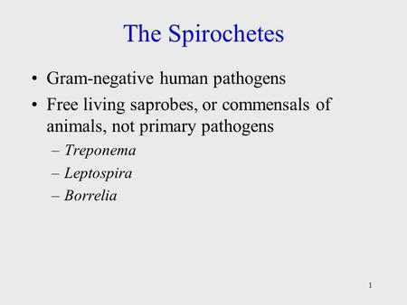 The Spirochetes Gram-negative human pathogens