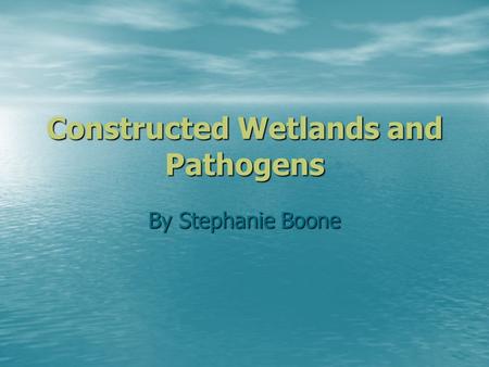 Constructed Wetlands and Pathogens By Stephanie Boone.