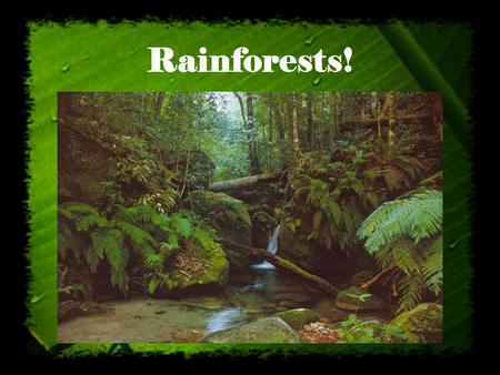 Rainforests! http://www.rainforestinfo.org.au/background/rainfwld.htm.