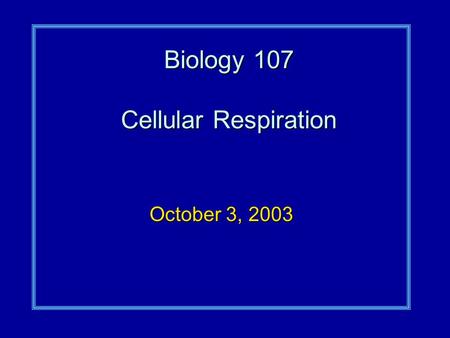 Biology 107 Cellular Respiration October 3, 2003.