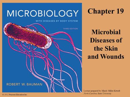 Microbial Diseases of the Skin and Wounds