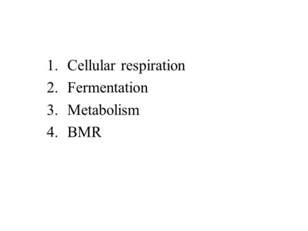 Cellular respiration Fermentation Metabolism BMR
