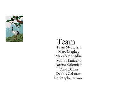 Team Team Members: Mary Mcghee Maka Shermadini Marina Lintzeris Darina Kolomiets Chong Chan Debbie Coleman Christopher Johnson.