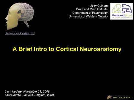 A Brief Intro to Cortical Neuroanatomy