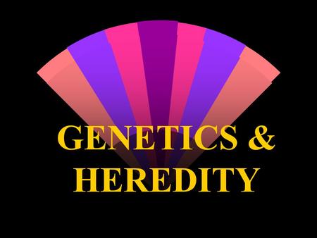 GENETICS & HEREDITY. w GENETICS - The study of the way animals & plants pass on to their offspring such as: w eye color, hair color, height, body build,
